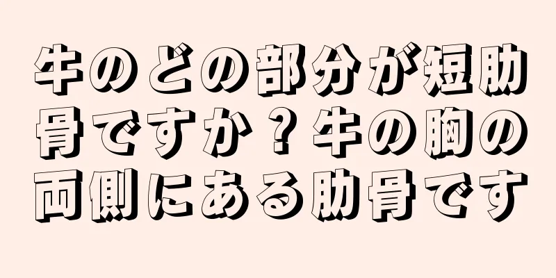 牛のどの部分が短肋骨ですか？牛の胸の両側にある肋骨です
