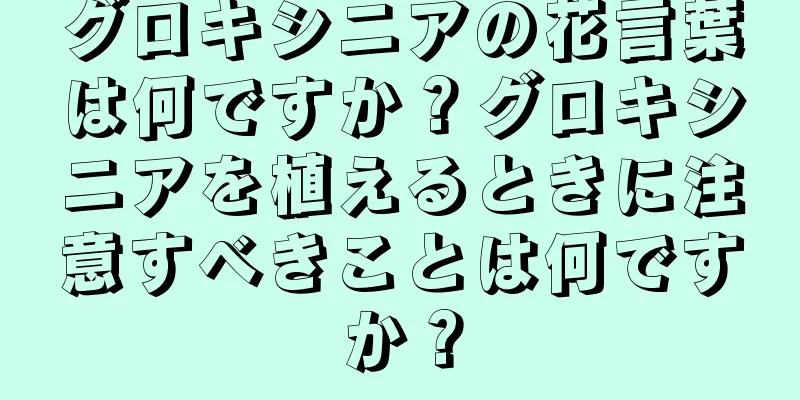 グロキシニアの花言葉は何ですか？グロキシニアを植えるときに注意すべきことは何ですか？