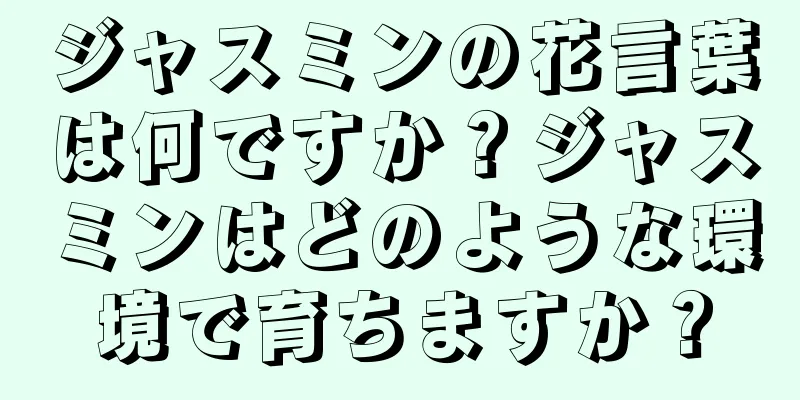 ジャスミンの花言葉は何ですか？ジャスミンはどのような環境で育ちますか？
