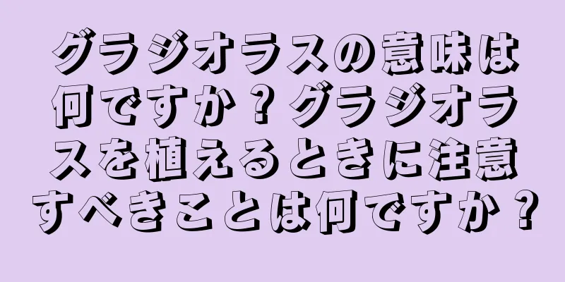 グラジオラスの意味は何ですか？グラジオラスを植えるときに注意すべきことは何ですか？