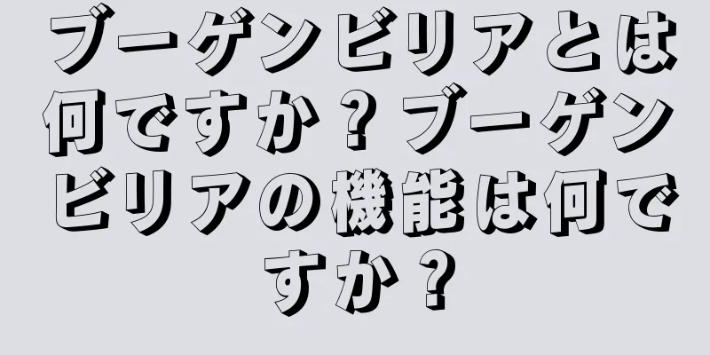 ブーゲンビリアとは何ですか？ブーゲンビリアの機能は何ですか？