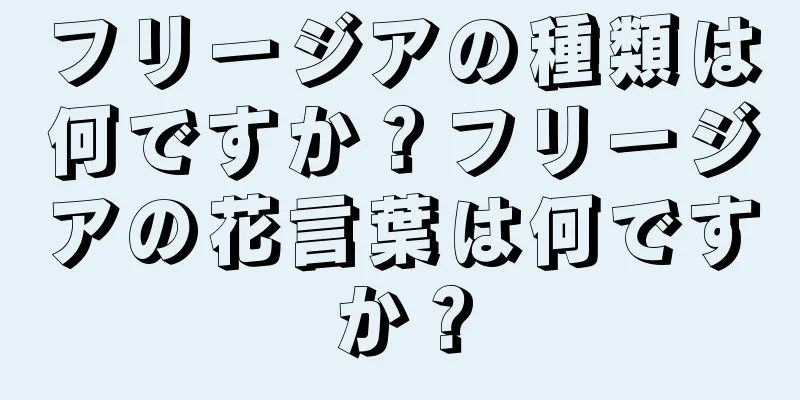 フリージアの種類は何ですか？フリージアの花言葉は何ですか？
