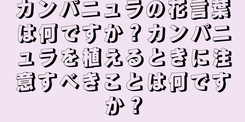 カンパニュラの花言葉は何ですか？カンパニュラを植えるときに注意すべきことは何ですか？