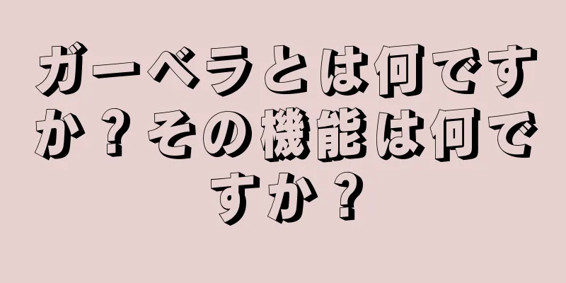 ガーベラとは何ですか？その機能は何ですか？