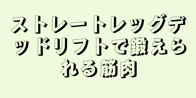 ストレートレッグデッドリフトで鍛えられる筋肉