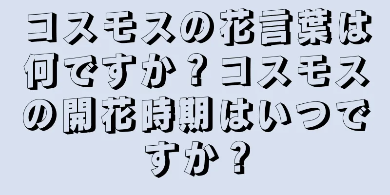 コスモスの花言葉は何ですか？コスモスの開花時期はいつですか？