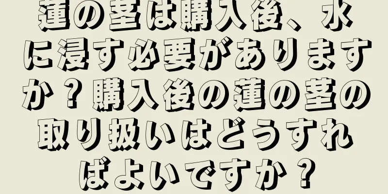 蓮の茎は購入後、水に浸す必要がありますか？購入後の蓮の茎の取り扱いはどうすればよいですか？