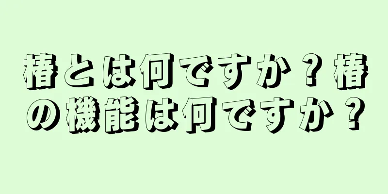 椿とは何ですか？椿の機能は何ですか？