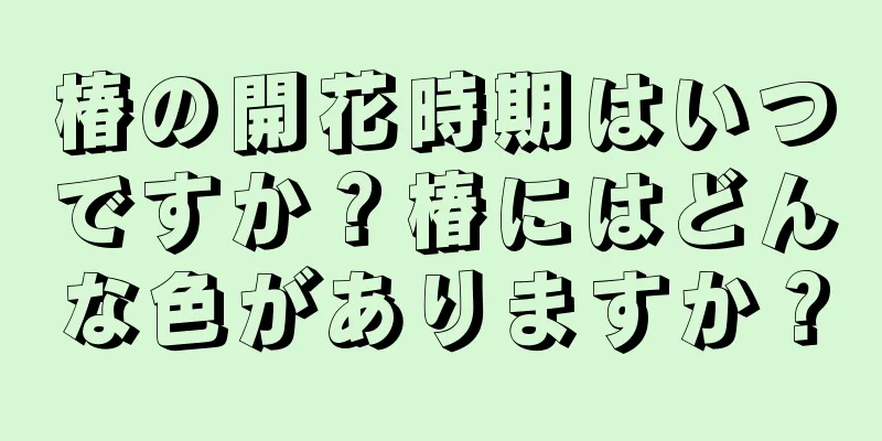 椿の開花時期はいつですか？椿にはどんな色がありますか？