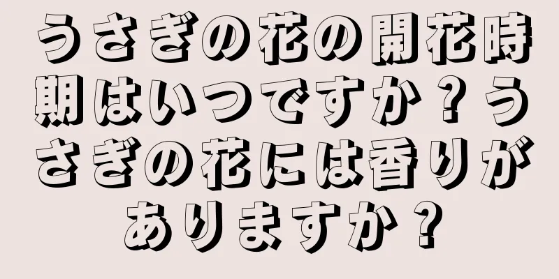 うさぎの花の開花時期はいつですか？うさぎの花には香りがありますか？