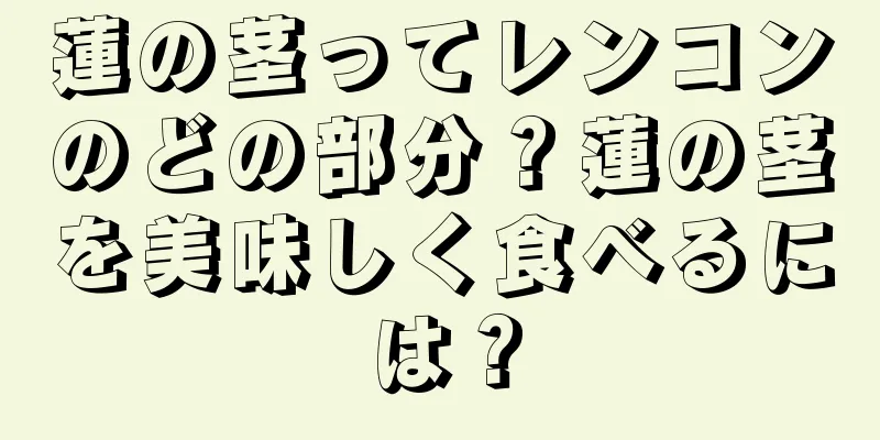 蓮の茎ってレンコンのどの部分？蓮の茎を美味しく食べるには？