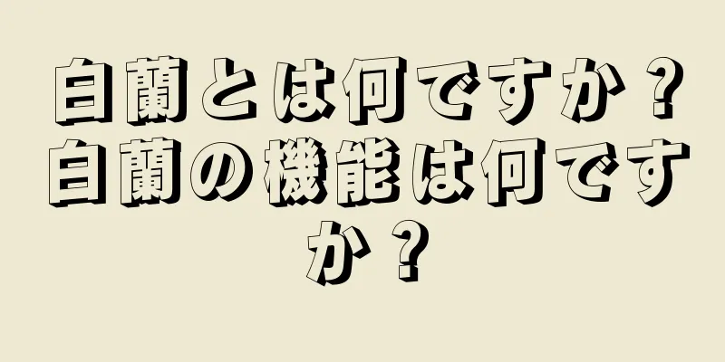 白蘭とは何ですか？白蘭の機能は何ですか？