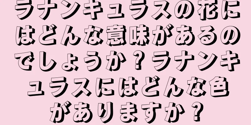 ラナンキュラスの花にはどんな意味があるのでしょうか？ラナンキュラスにはどんな色がありますか？