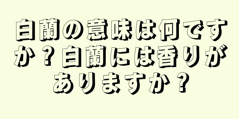 白蘭の意味は何ですか？白蘭には香りがありますか？