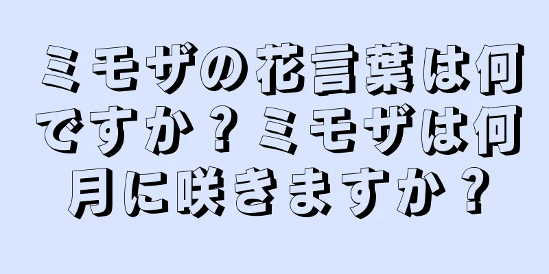 ミモザの花言葉は何ですか？ミモザは何月に咲きますか？