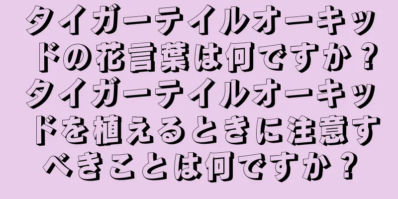 タイガーテイルオーキッドの花言葉は何ですか？タイガーテイルオーキッドを植えるときに注意すべきことは何ですか？