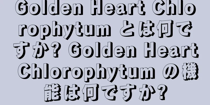 Golden Heart Chlorophytum とは何ですか? Golden Heart Chlorophytum の機能は何ですか?