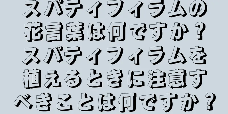 スパティフィラムの花言葉は何ですか？スパティフィラムを植えるときに注意すべきことは何ですか？