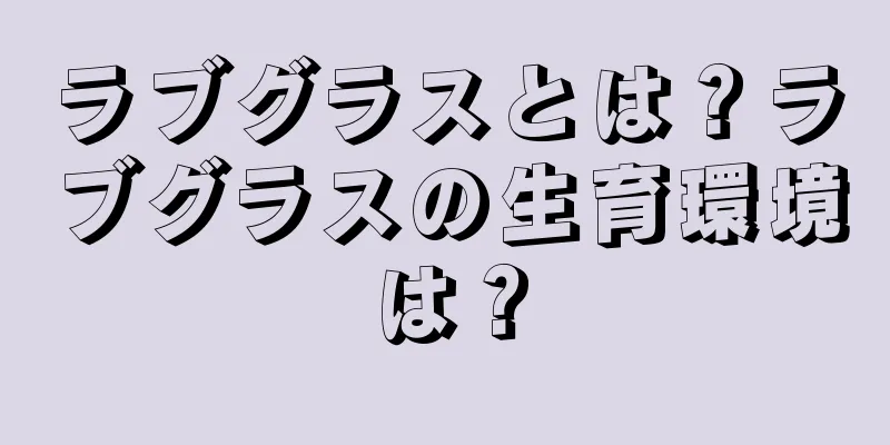 ラブグラスとは？ラブグラスの生育環境は？