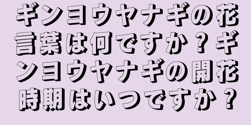 ギンヨウヤナギの花言葉は何ですか？ギンヨウヤナギの開花時期はいつですか？