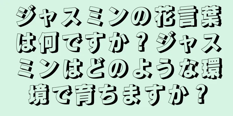 ジャスミンの花言葉は何ですか？ジャスミンはどのような環境で育ちますか？