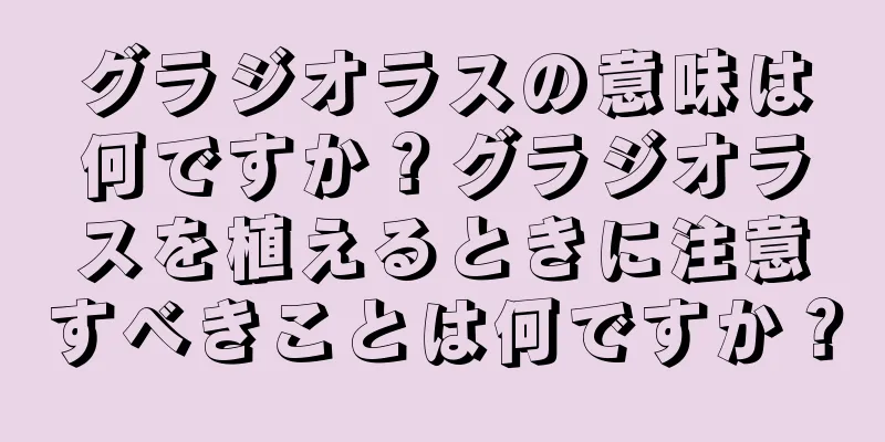 グラジオラスの意味は何ですか？グラジオラスを植えるときに注意すべきことは何ですか？