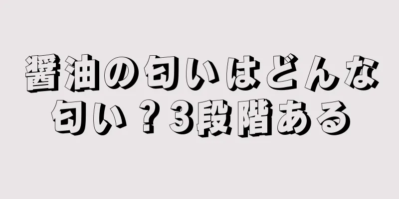 醤油の匂いはどんな匂い？3段階ある