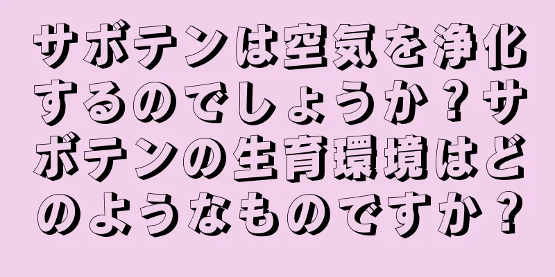 サボテンは空気を浄化するのでしょうか？サボテンの生育環境はどのようなものですか？