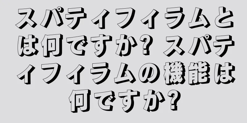 スパティフィラムとは何ですか? スパティフィラムの機能は何ですか?