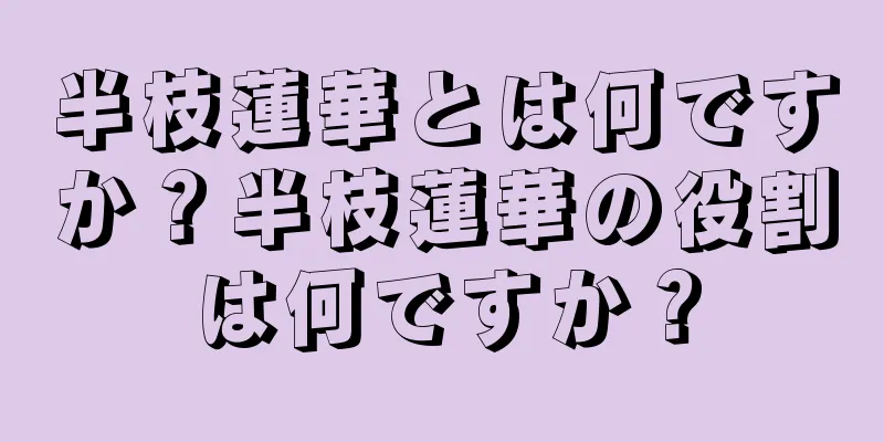 半枝蓮華とは何ですか？半枝蓮華の役割は何ですか？