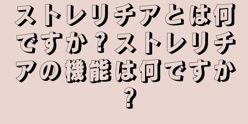ストレリチアとは何ですか？ストレリチアの機能は何ですか？