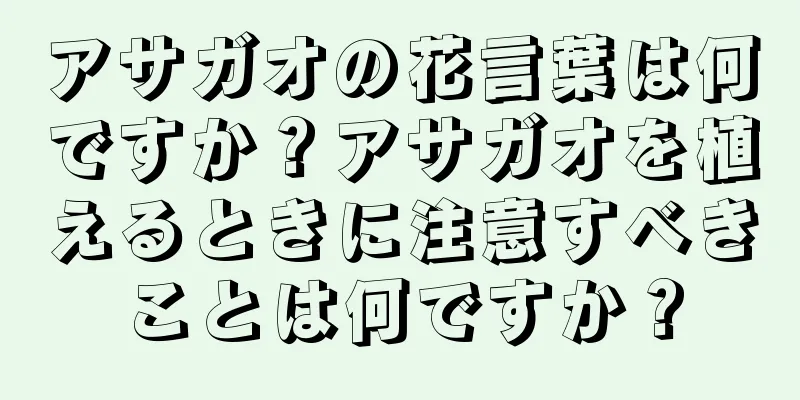 アサガオの花言葉は何ですか？アサガオを植えるときに注意すべきことは何ですか？