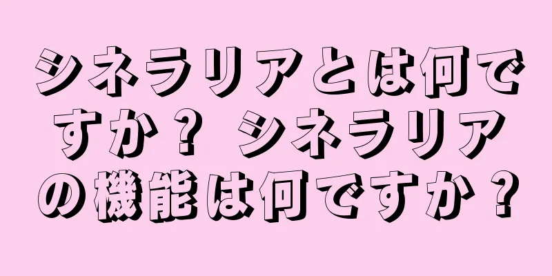 シネラリアとは何ですか？ シネラリアの機能は何ですか？