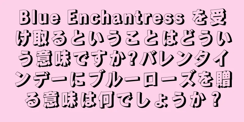 Blue Enchantress を受け取るということはどういう意味ですか?バレンタインデーにブルーローズを贈る意味は何でしょうか？