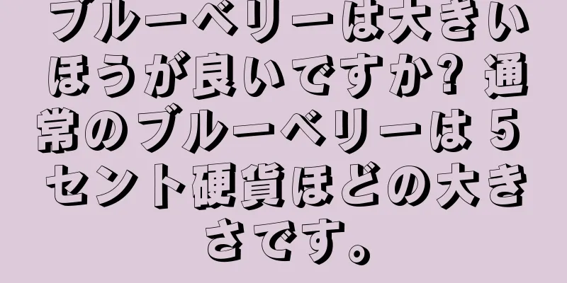 ブルーベリーは大きいほうが良いですか? 通常のブルーベリーは 5 セント硬貨ほどの大きさです。