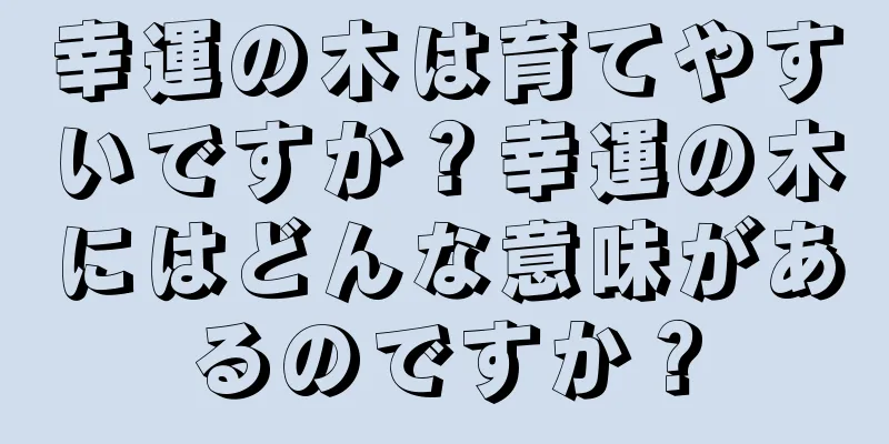 幸運の木は育てやすいですか？幸運の木にはどんな意味があるのですか？