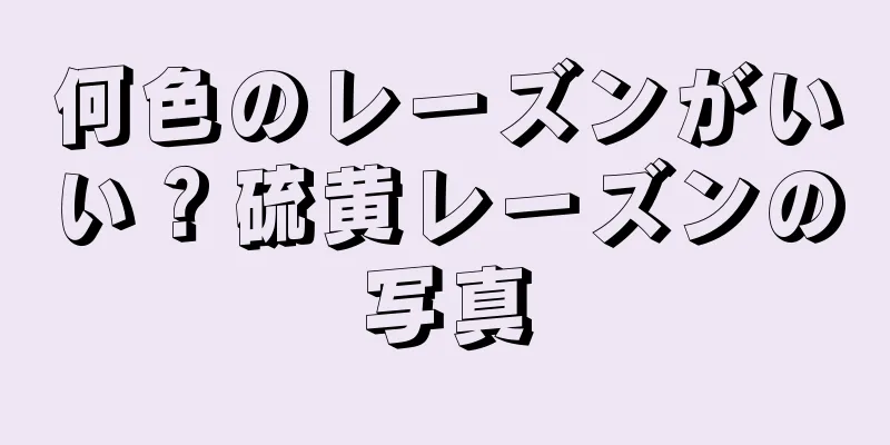 何色のレーズンがいい？硫黄レーズンの写真