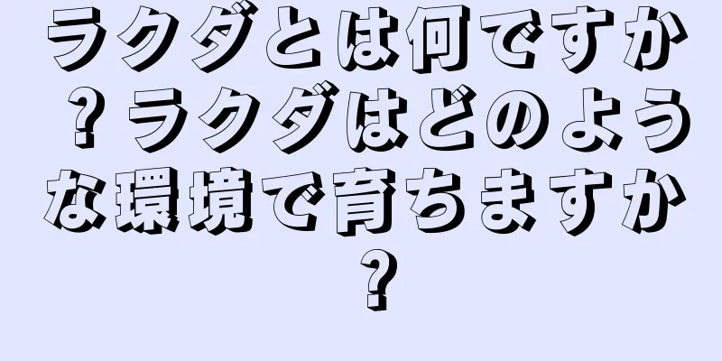 ラクダとは何ですか？ラクダはどのような環境で育ちますか？