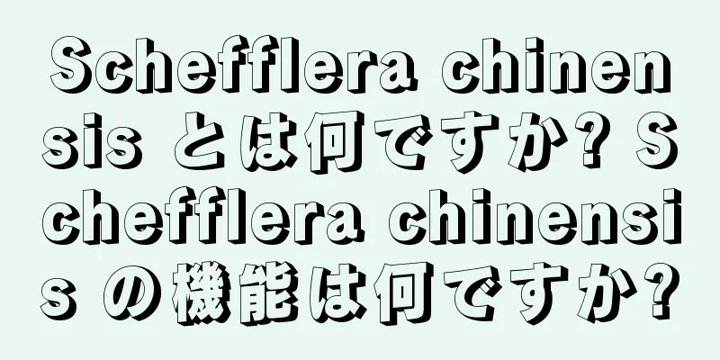 Schefflera chinensis とは何ですか? Schefflera chinensis の機能は何ですか?