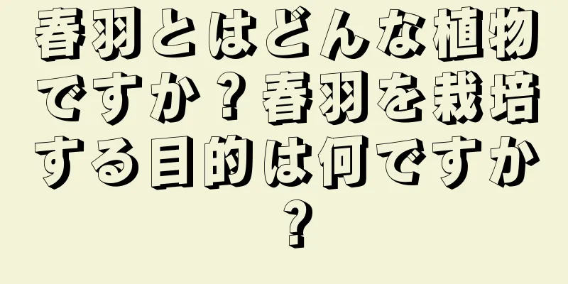 春羽とはどんな植物ですか？春羽を栽培する目的は何ですか？
