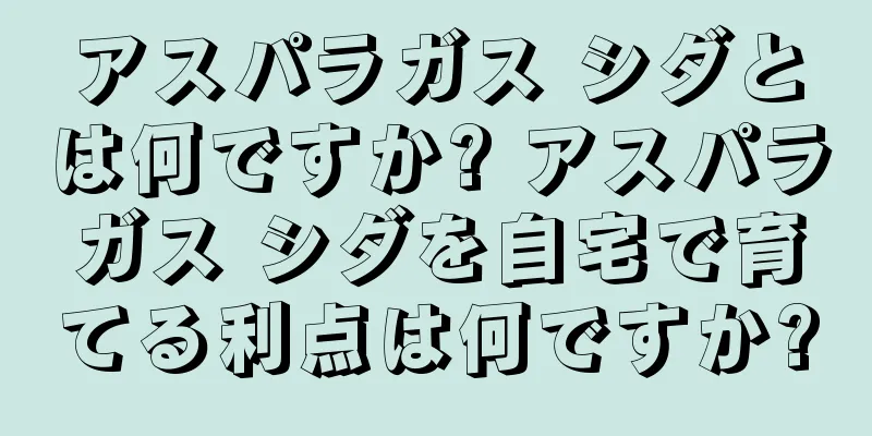 アスパラガス シダとは何ですか? アスパラガス シダを自宅で育てる利点は何ですか?