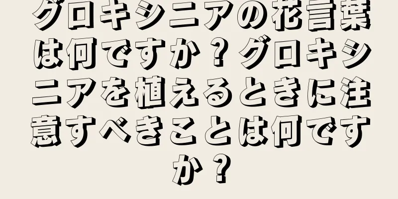 グロキシニアの花言葉は何ですか？グロキシニアを植えるときに注意すべきことは何ですか？