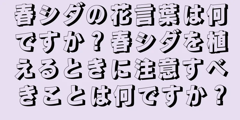 春シダの花言葉は何ですか？春シダを植えるときに注意すべきことは何ですか？