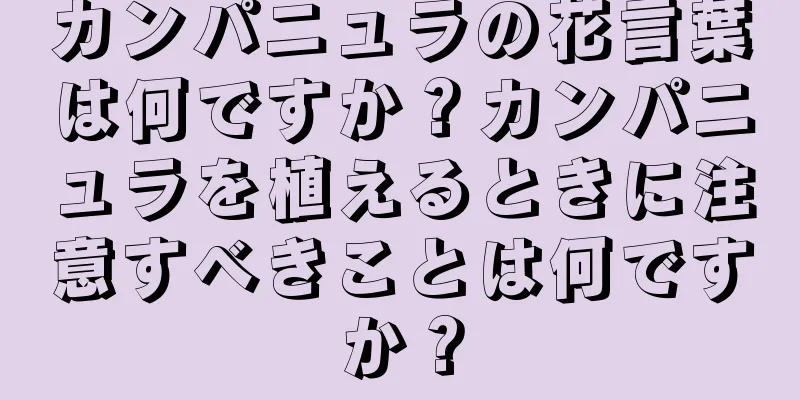 カンパニュラの花言葉は何ですか？カンパニュラを植えるときに注意すべきことは何ですか？