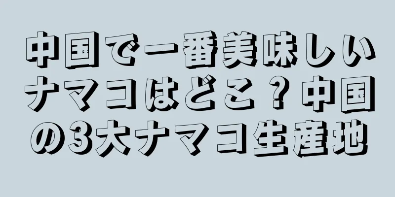 中国で一番美味しいナマコはどこ？中国の3大ナマコ生産地