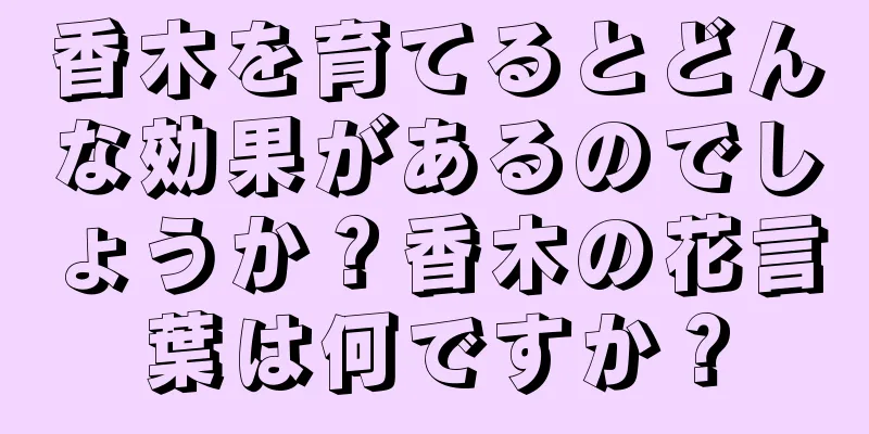 香木を育てるとどんな効果があるのでしょうか？香木の花言葉は何ですか？
