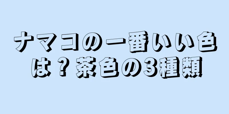 ナマコの一番いい色は？茶色の3種類