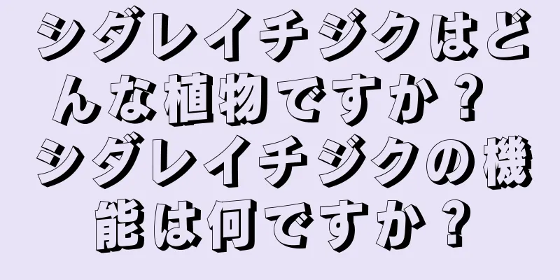 シダレイチジクはどんな植物ですか？ シダレイチジクの機能は何ですか？