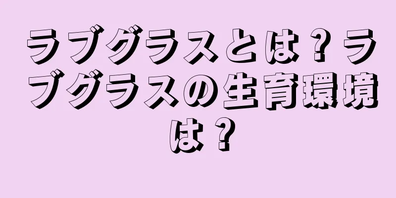 ラブグラスとは？ラブグラスの生育環境は？