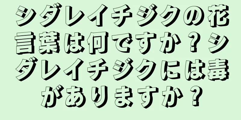 シダレイチジクの花言葉は何ですか？シダレイチジクには毒がありますか？